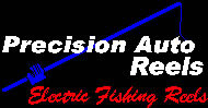 Electric Fishing Reels